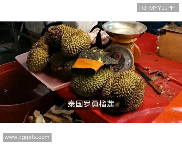 乌隆他尼与罗勇的较量揭示泰国足球的未来发展与挑战